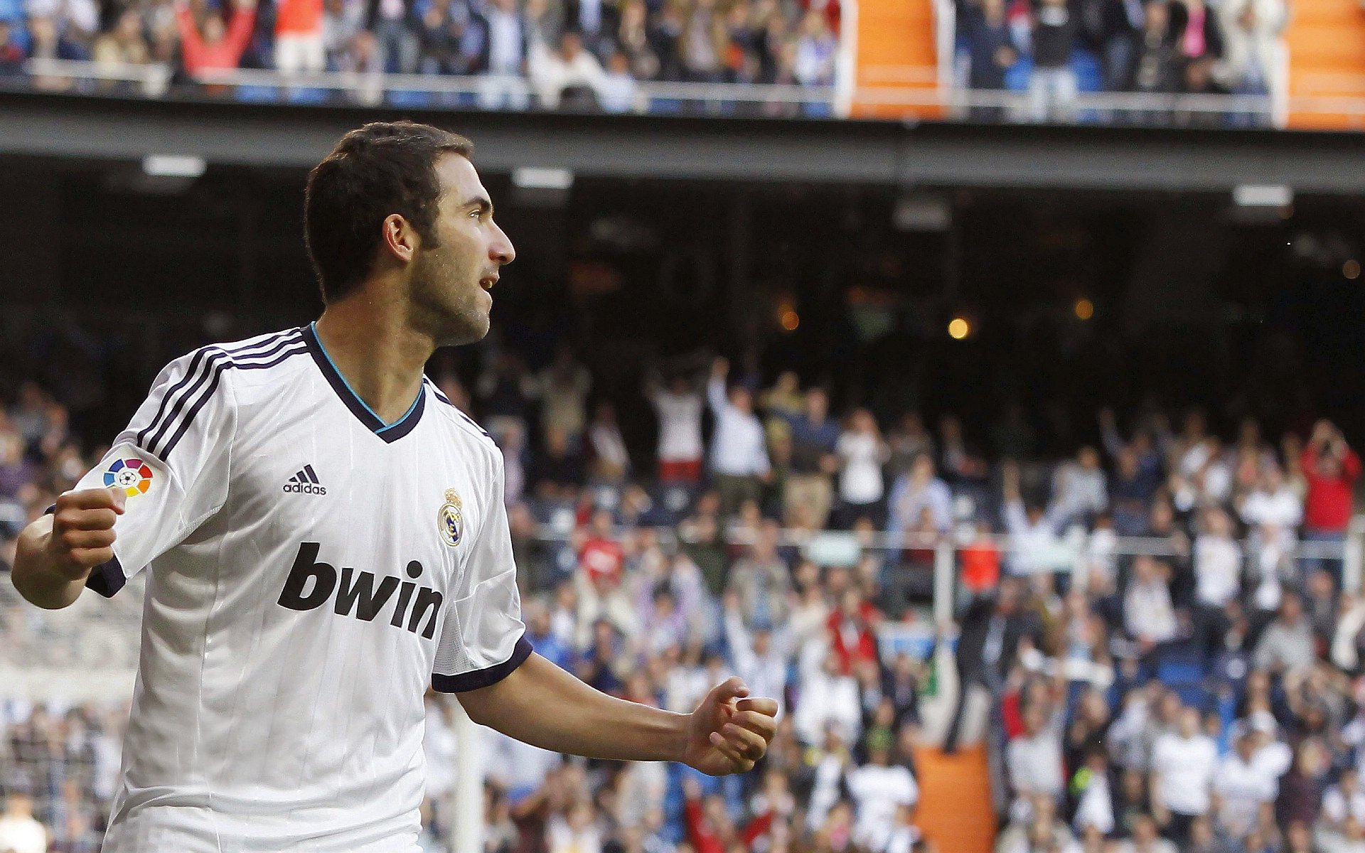 球队整体阵容再添新员，志在夺冠，球队更新换代